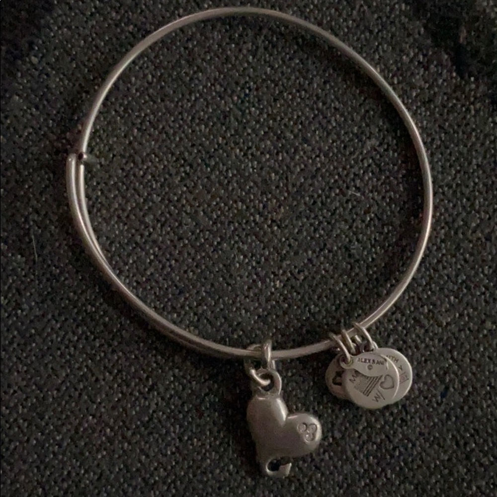 Alex and Ani bracelet